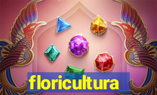 floricultura juazeiro bahia